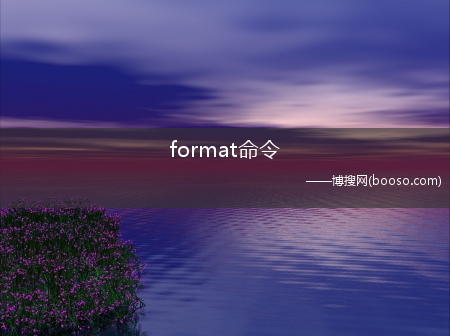 format命令