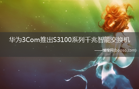 华为3Com推出S3100系列千兆智能交换机