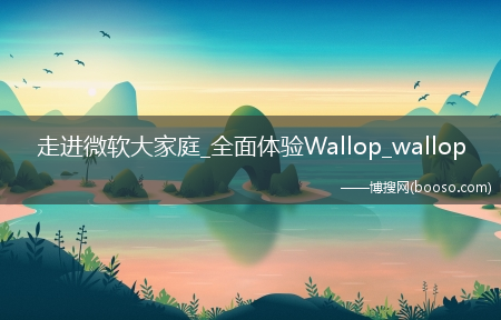 走进微软大家庭_全面体验Wallop_wallop