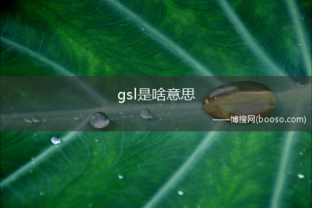 gsl是啥意思