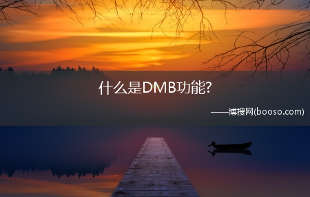 什么是DMB功能?