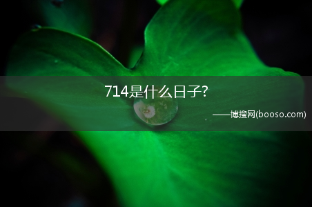 714是什么日子?