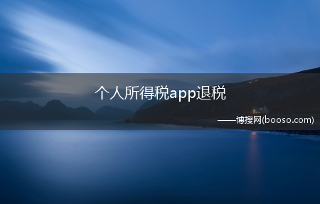 个人所得税app退税