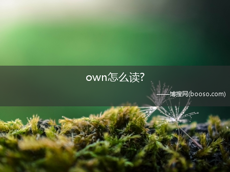 own怎么读?