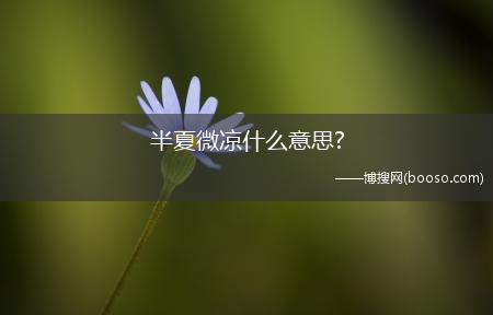 半夏微凉什么意思?