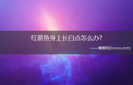 红箭鱼身上长白点怎么办?