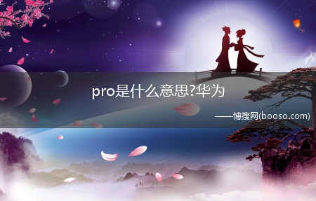 pro是什么意思?华为