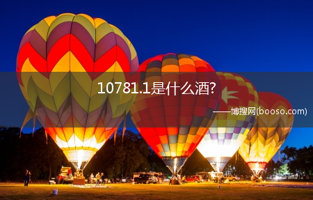 10781.1是什么酒?