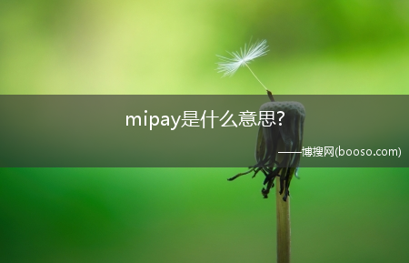 mipay是什么意思?