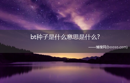 bt种子是什么意思是什么?