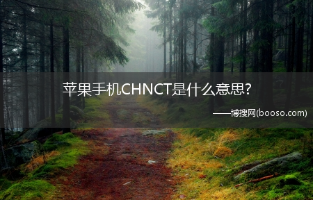 苹果手机CHNCT是什么意思?