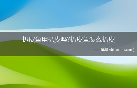 扒皮鱼用扒皮吗?扒皮鱼怎么扒皮