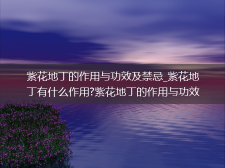 紫花地丁的作用与功效及禁忌_紫花地丁有什么作用?紫花地丁的作用与功效