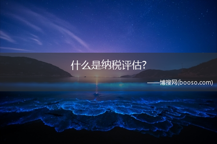 什么是纳税评估?