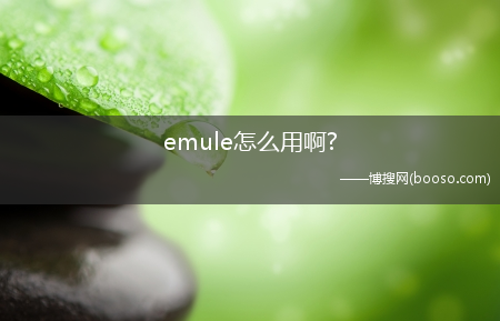 emule怎么用啊?