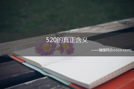 520的真正含义