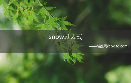 snow过去式