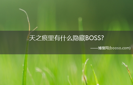 天之痕里有什么隐藏BOSS?