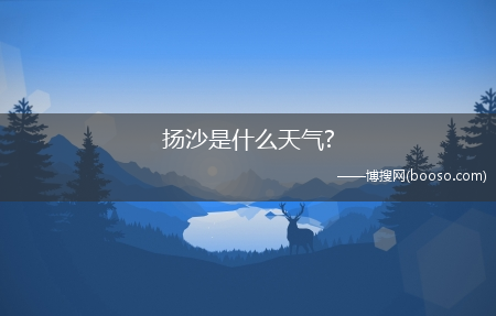 扬沙是什么天气?