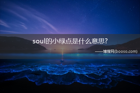 soul的小绿点是什么意思?