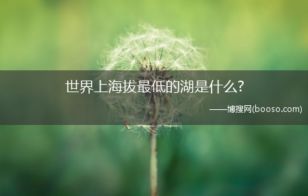 世界上海拔最低的湖是什么?