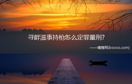 寻衅滋事持枪怎么定罪量刑?