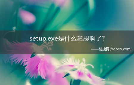 setup.exe是什么意思啊了?