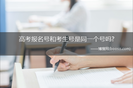 高考报名号和考生号是同一个号吗?