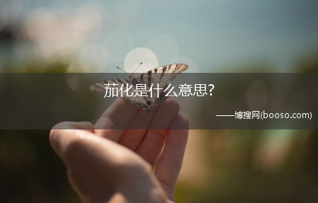 茄化是什么意思?