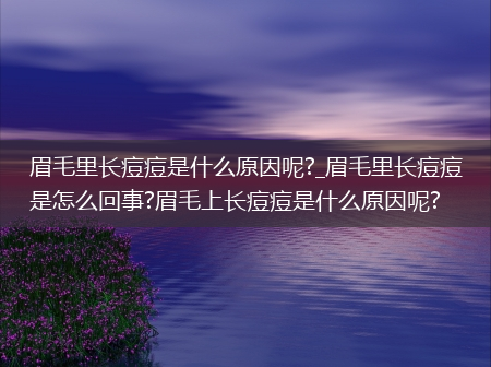 眉毛里长痘痘是什么原因呢?_眉毛里长痘痘是怎么回事?眉毛上长痘痘是什么原因呢?