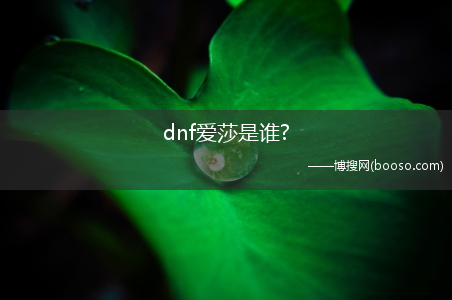 dnf爱莎是谁?