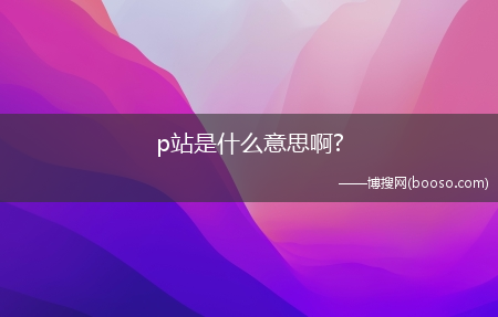 p站是什么意思啊?