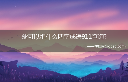 翁可以组什么四字成语911查询?