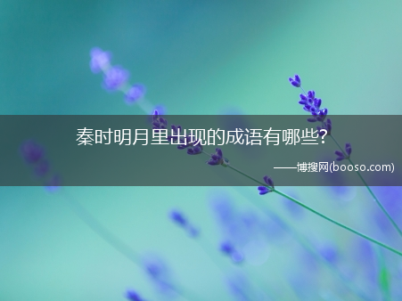 秦时明月里出现的成语有哪些?