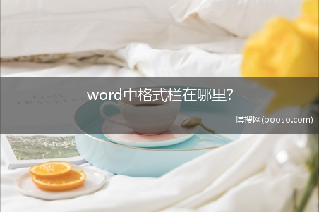 word中格式栏在哪里?(格式栏)