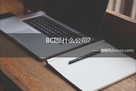 BCI是什么公司?(BCI是什么公司)