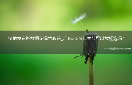 多地发布燃放烟花爆竹政策_广东2023年春节可以放鞭炮吗?(2023年烟花爆竹政策)