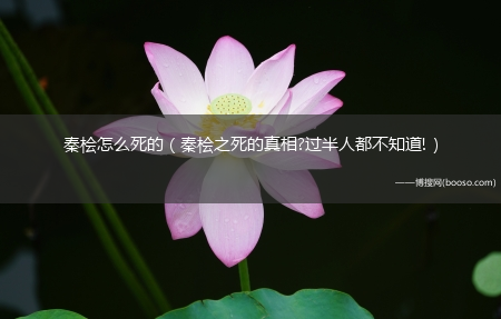 秦桧之死的真相?过半人都不知道!_秦桧怎么死的?(秦桧最后咋死的)