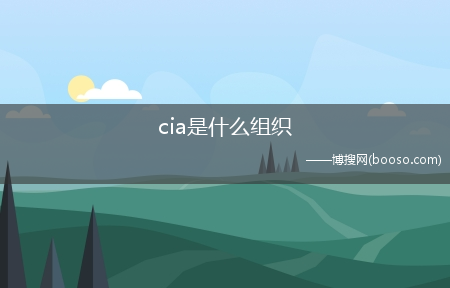 cia是什么组织?(cia是什么组织)