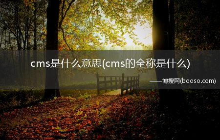 cms的全称是什么_cms是什么意思?(cms是什么意思)