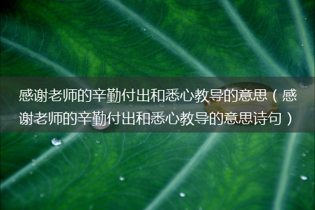 感谢老师的辛勤付出和悉心教导的意思诗句_感谢老师的辛勤付出和悉心教导的意思(感谢老师的辛勤付出和悉心教导的意思)