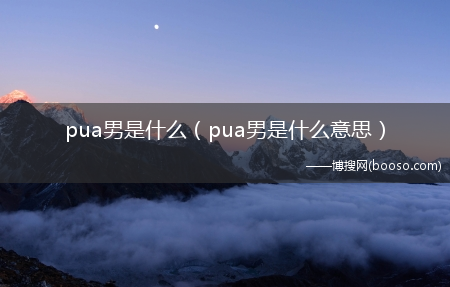 pua男是什么意思_pua男是什么?(pua男是什么意思)