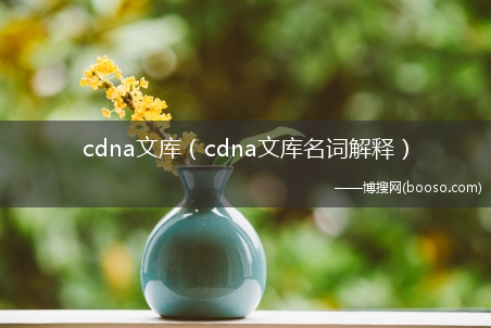 cdna文库名词解释_cdna文库(cdna)