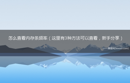 这里有3种方法可以查看_新手分享_怎么查看内存条频率?(内存频率)