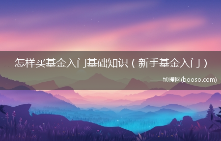 新手基金入门_怎么样买基金入门基础知识?(如何买基金新手入门)