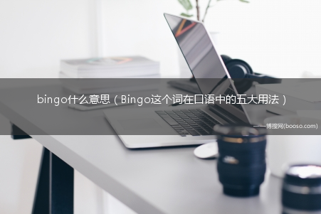 Bingo这个词在口语中的五大用法_bingo什么意思?(bingo是什么意思)