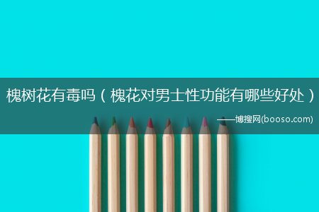 槐花对男士性功能有哪些好处_槐树花有毒吗?(槐花对男士性功能有哪些好处)