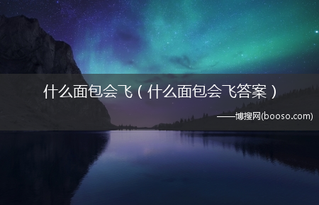 什么面包会飞答案_什么面包会飞?(什么面包会飞)