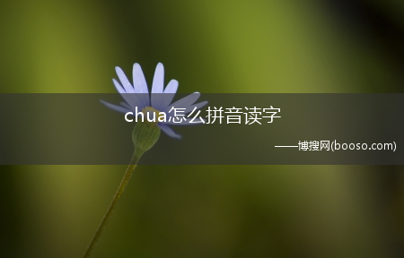 chua怎么拼音读字?(chua的拼音)