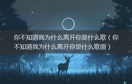 你不知道我为什么离开你是什么歌曲_你不知道我为什么离开你是什么歌?(你不知道我为什么离开你)